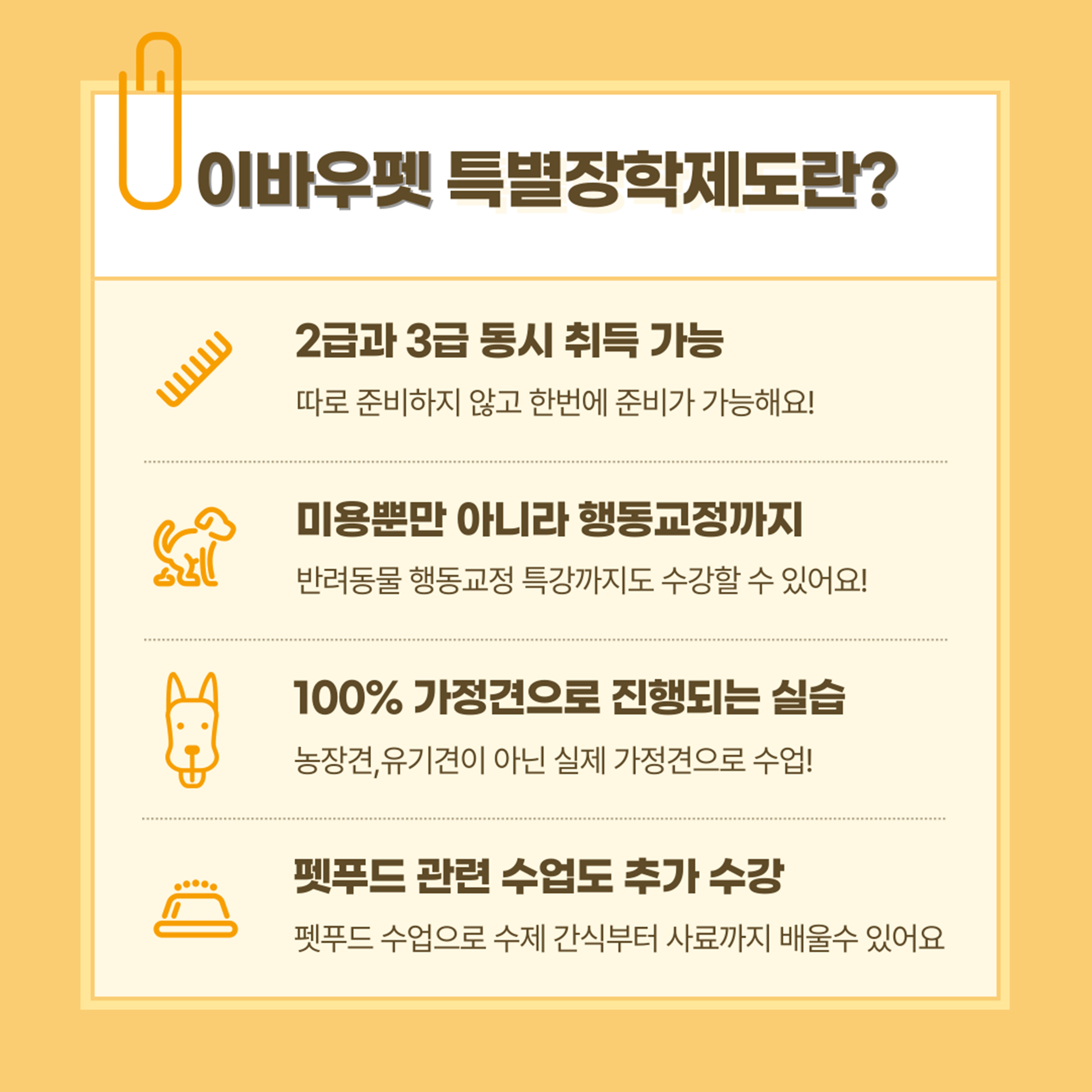 수원강아지미용자격증