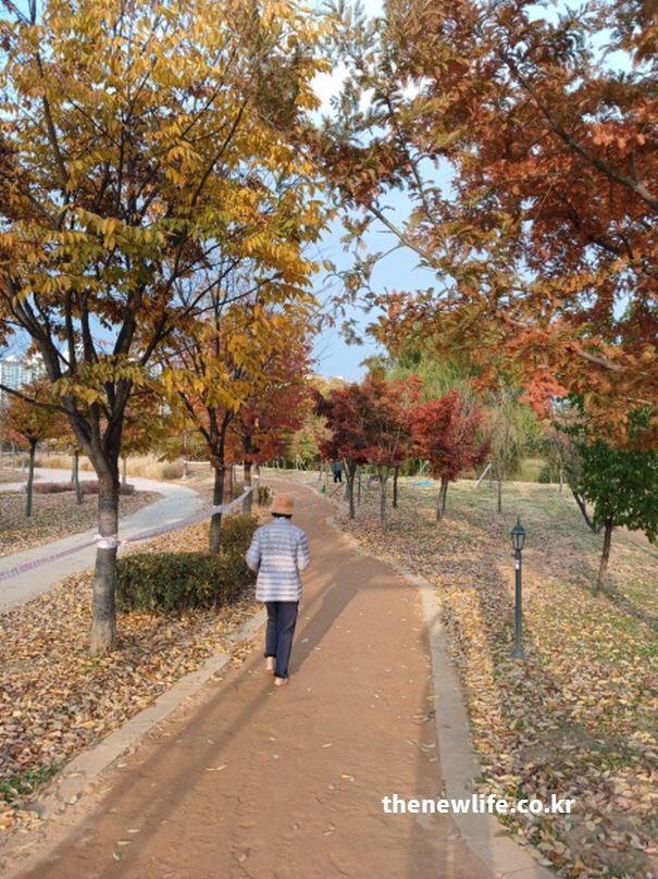 겨울철 장자호수공원 황톳(토)길에서 맨발로 걷는 성인의 모습