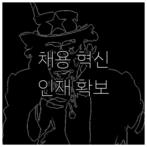메시 인터뷰: 채용 혁신 전략, 인재