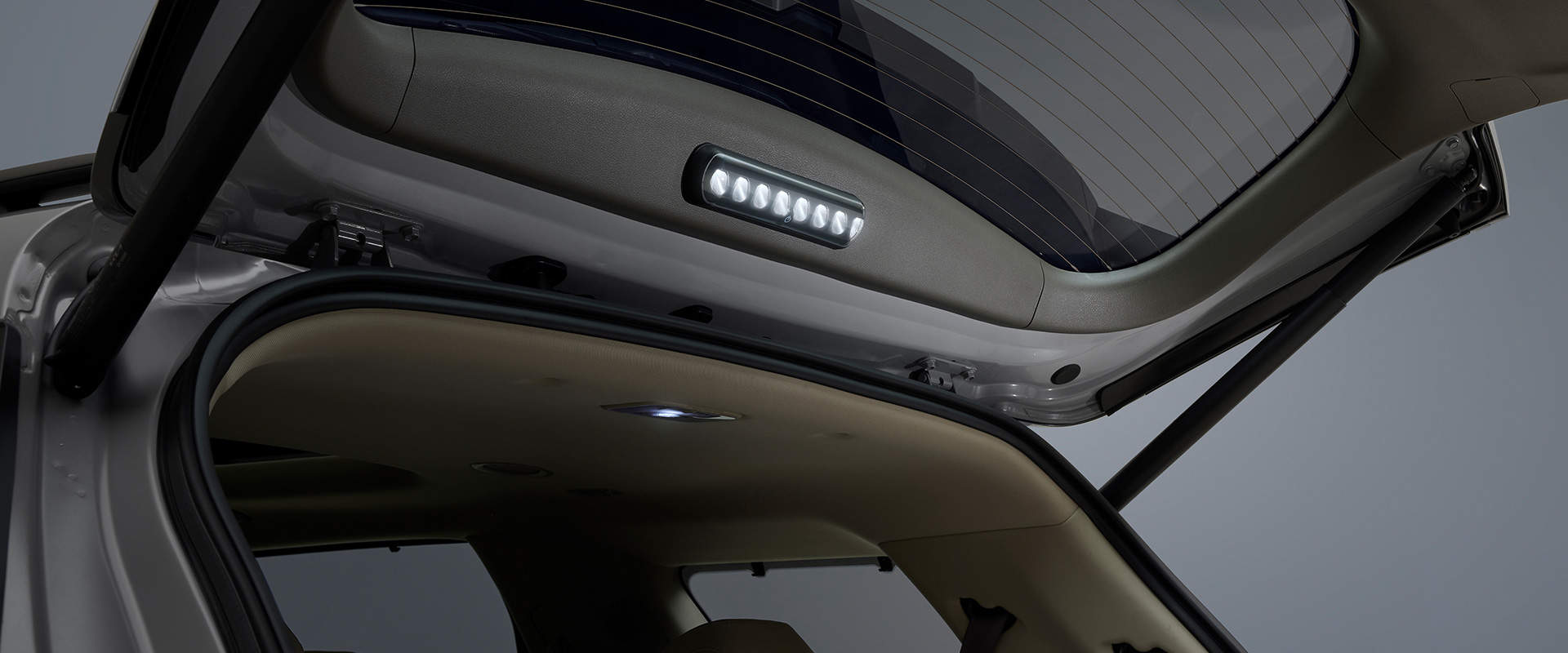 신형 카니발, The New Carnival