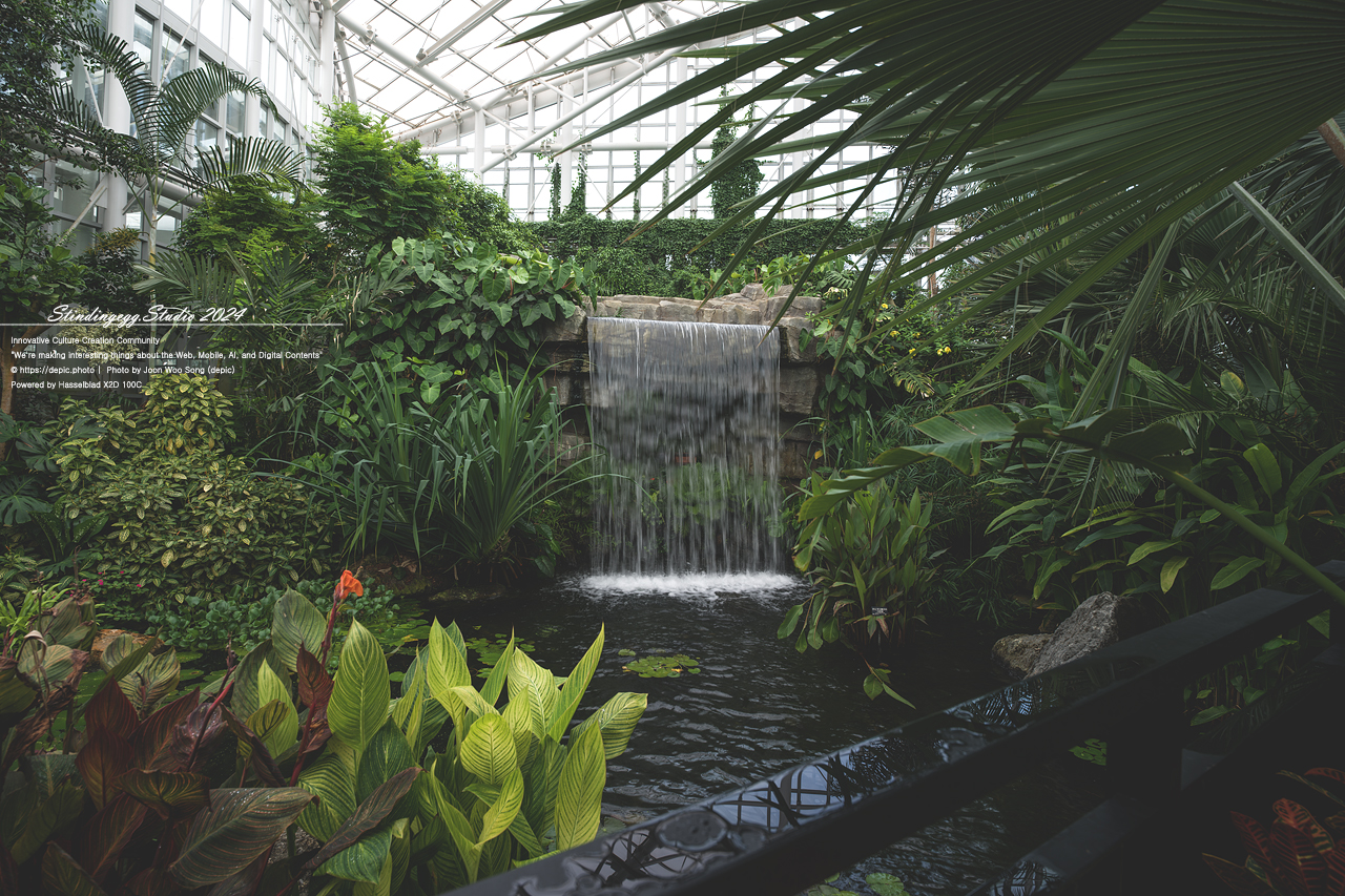 #식물 #나무 #수목원 #세종 #세종수목원 #피노키오