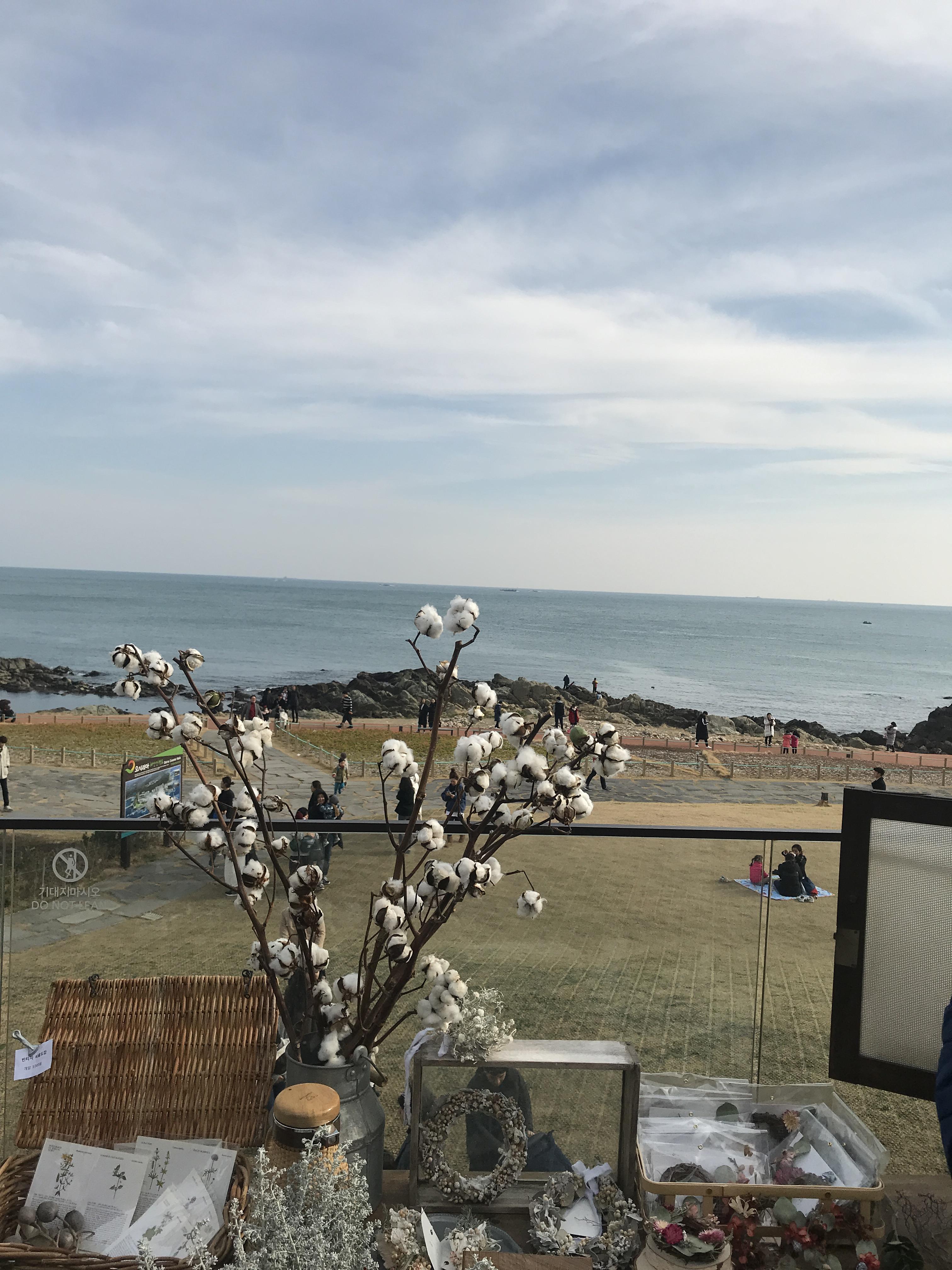 부산 기장 바다