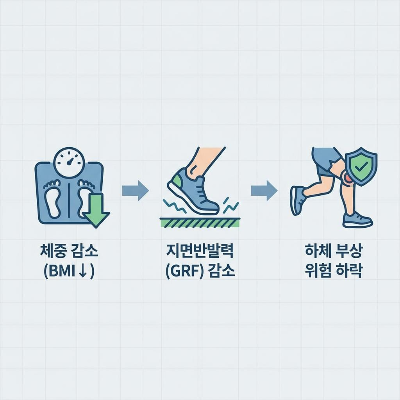 체중(BMI) 감소가 러닝 시 지면반발력(GRF) 및 하체 부상 위험도에 미치는 역학적 분석