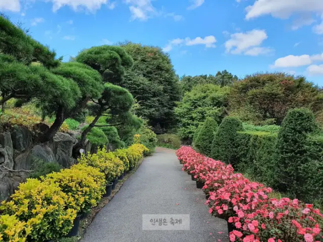 율보식물원 봉선화 시즌
