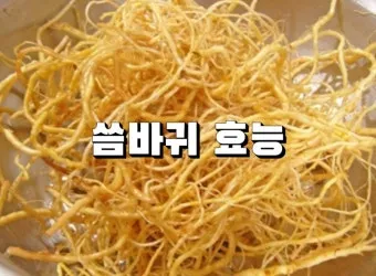 씀바귀 무침 김치 담그는법 레시피_14