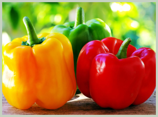 파프리카 섭취 방법