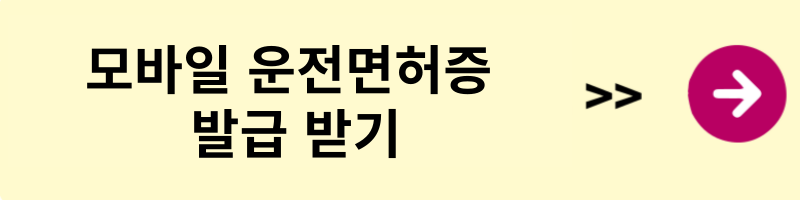 모바일 운전면허증 발급 받기