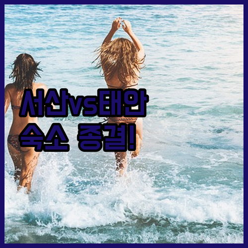 서산 출장 호텔과 태안 오션뷰 숙소 ..