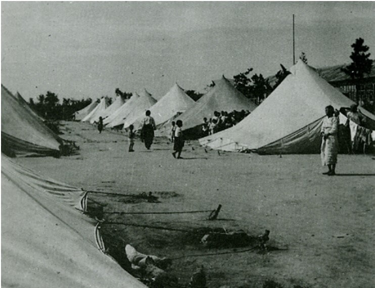 대한민국 태풍사라 피해