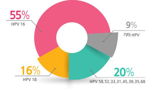 hpv 바이러스 원인
