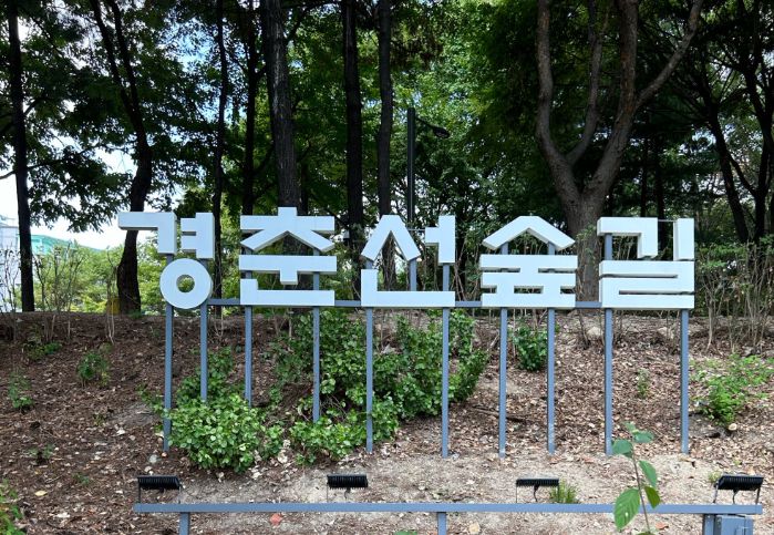 경춘선공릉숲길
