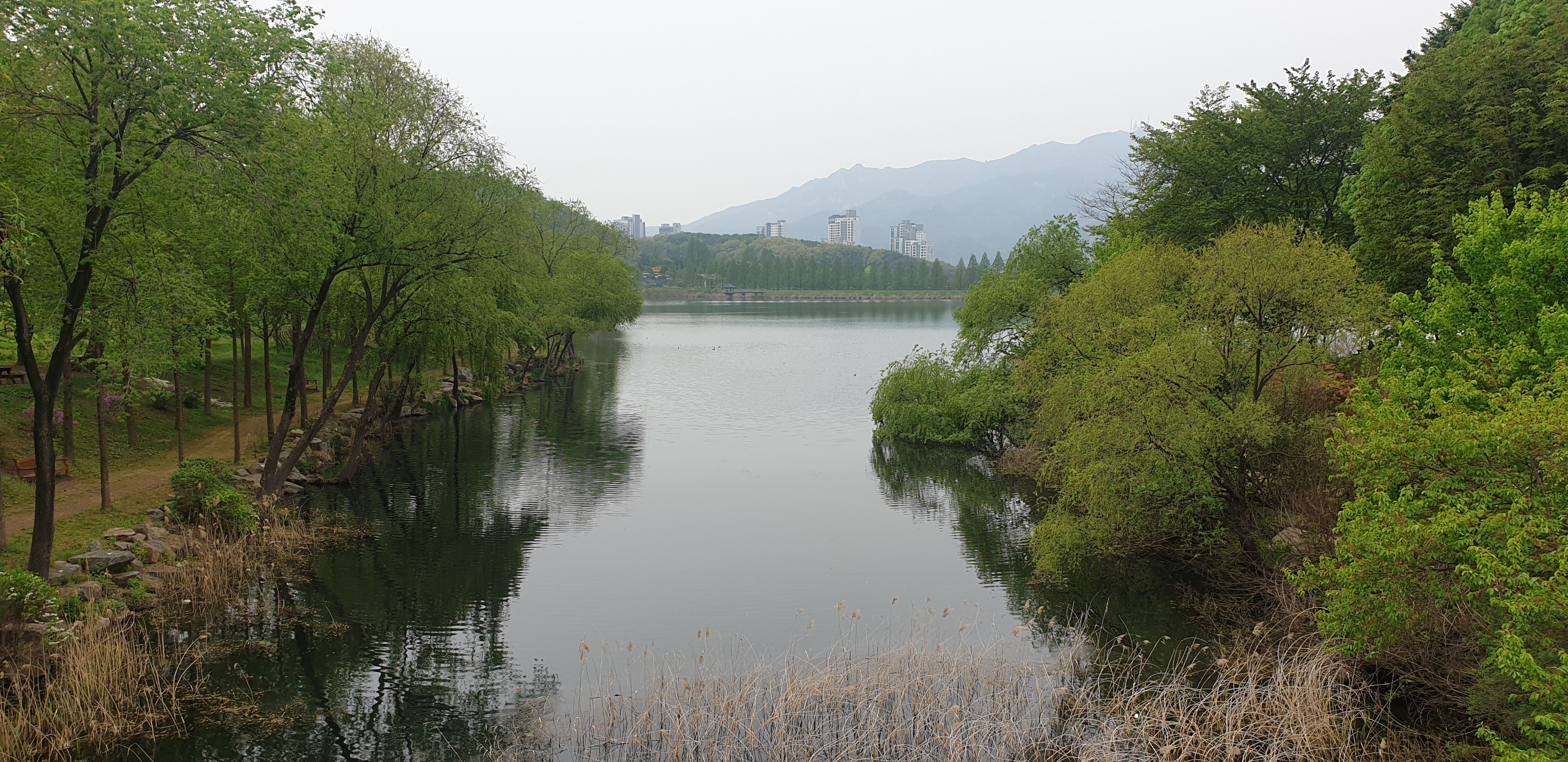 서울대공원 호수 산책로