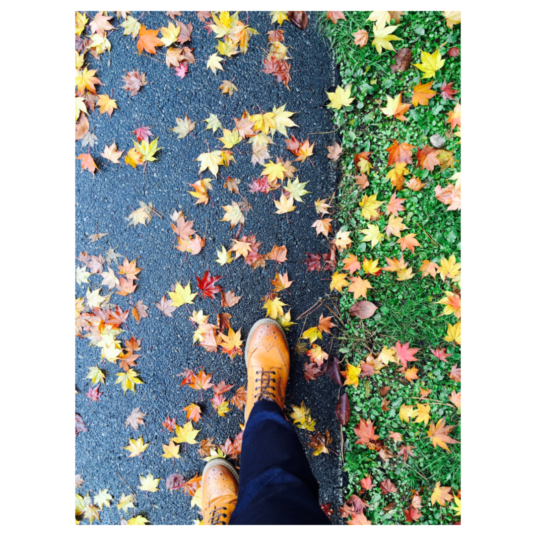 여주와 관련된 사진입니다.