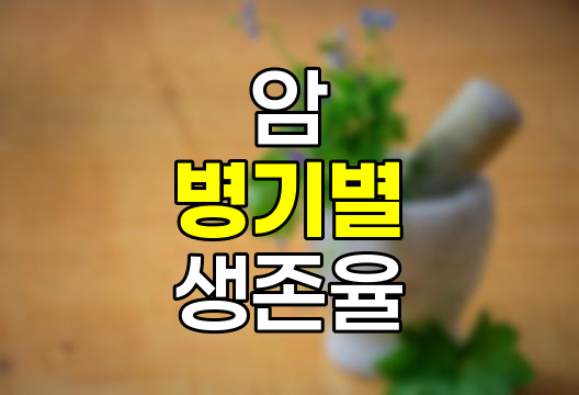 암 병기별 생존율과 조기 진단의 중요성