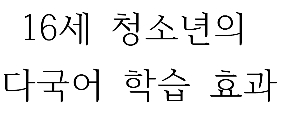 16세 청소년의 다국어 학습 효과