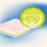 양배추와 시루떡 일러스트