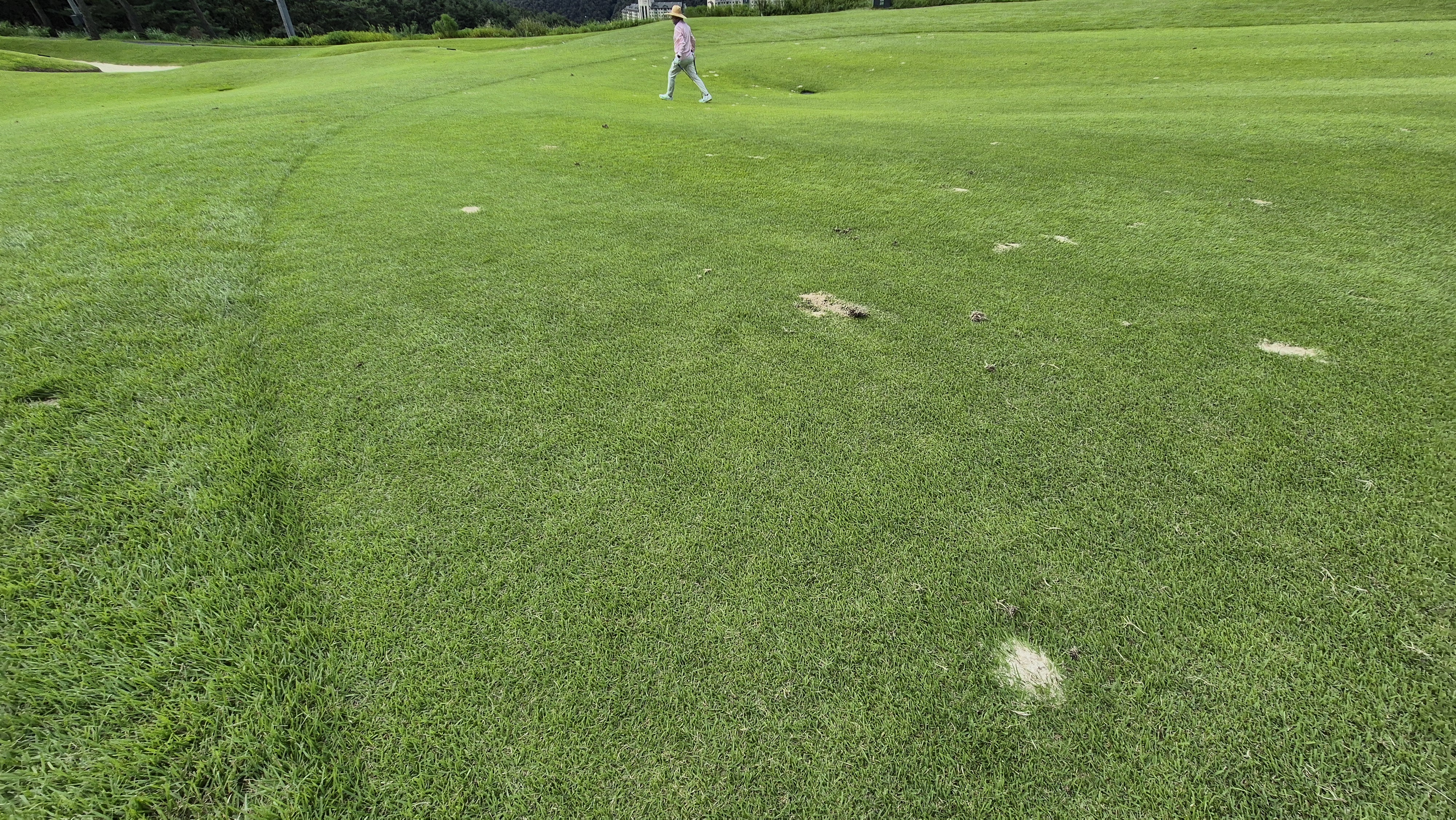 오크힐스cc 코스난이도