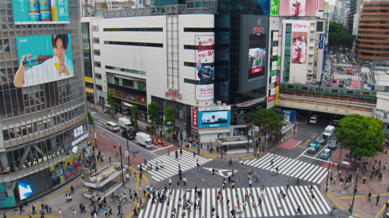 후지이 카제(Fujii Kaze) Hachikō