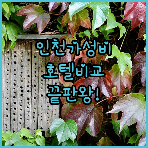 인천 연수구 계양구 가성비 호텔 무인..