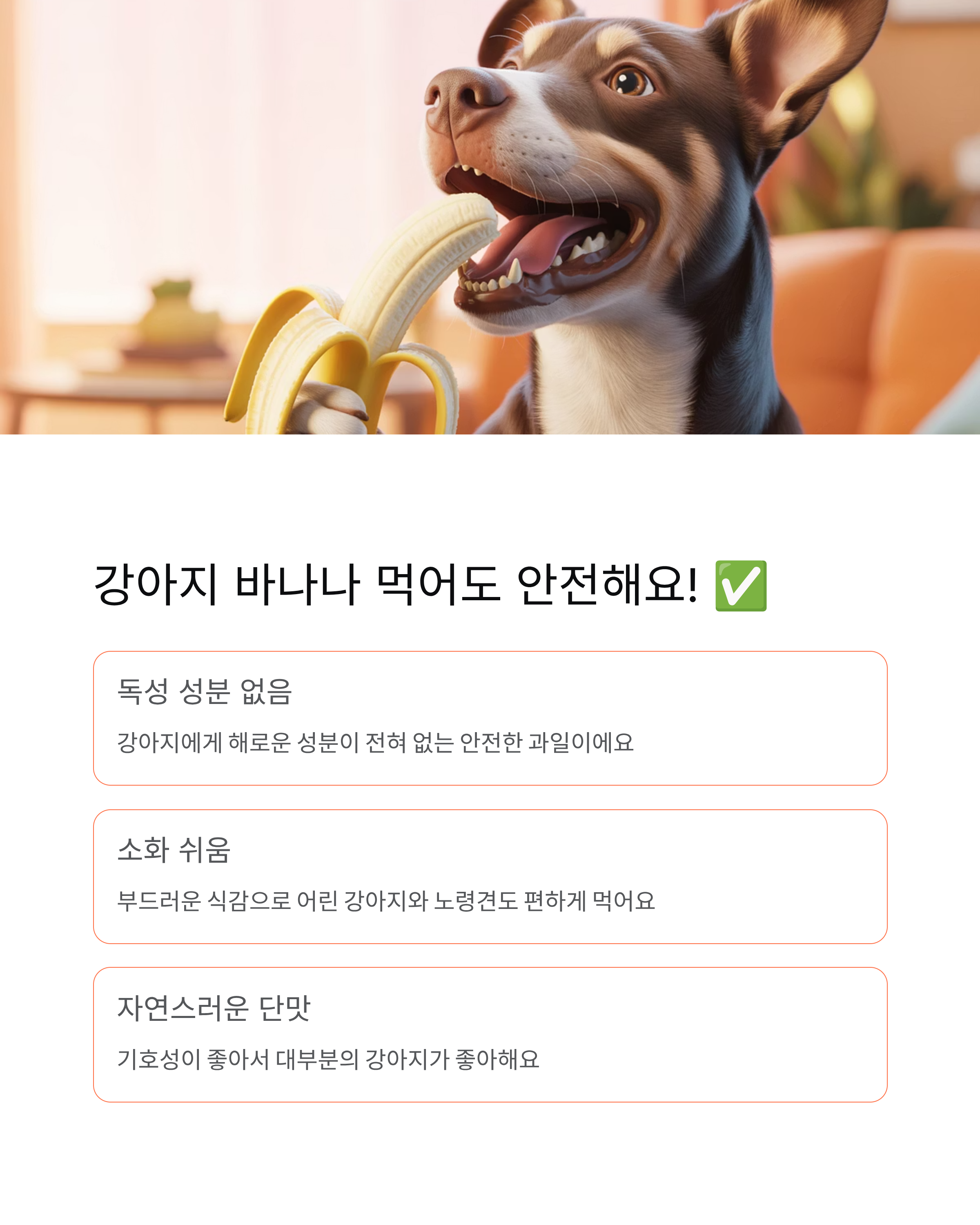 강아지 바나나 먹어도 되나요 급여량 효능 주의사항 - 완벽 가이드! 🍌