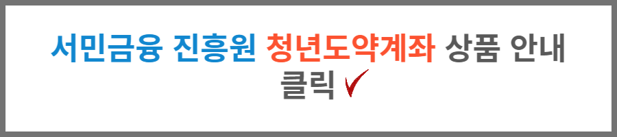 서민금융 진흥원 청년도약계좌 상품 안내