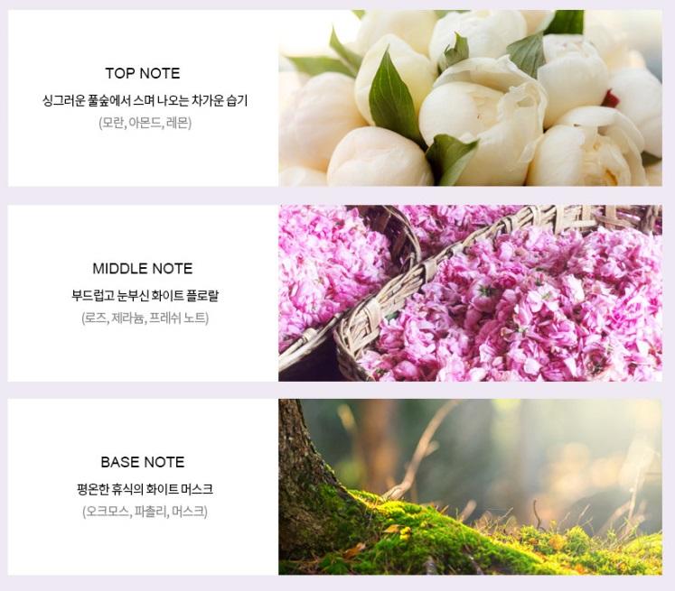 로즈 노트