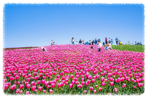 평택시 농업생태원