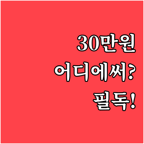 30만원 지원받는 2026 서울시 교..