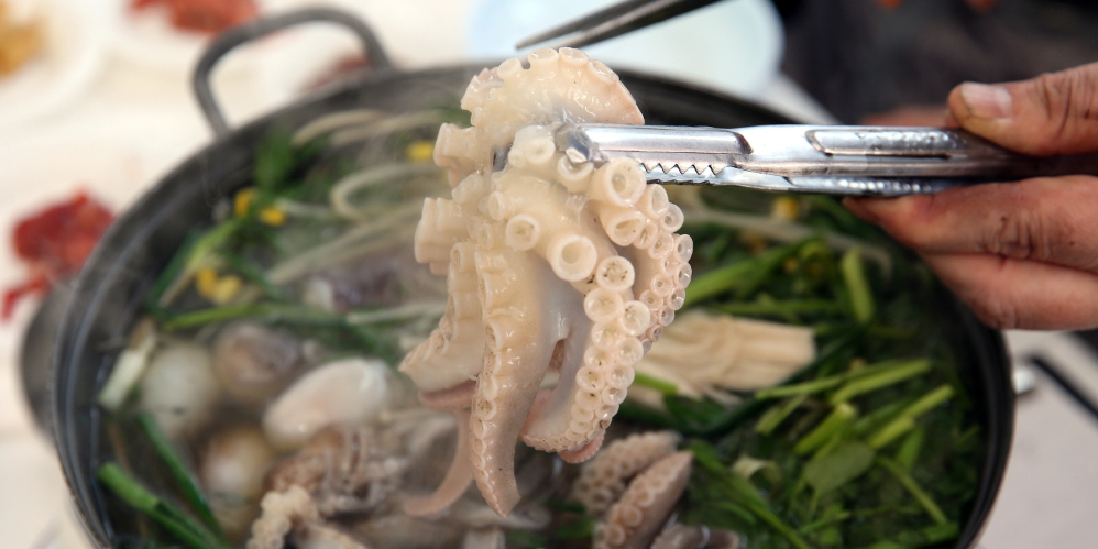 서천 동백꽃 주꾸미 축제