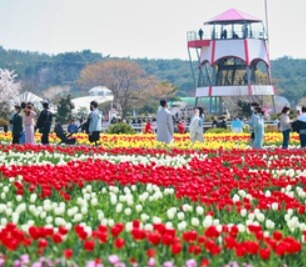 봄 축제 가볼만한 곳