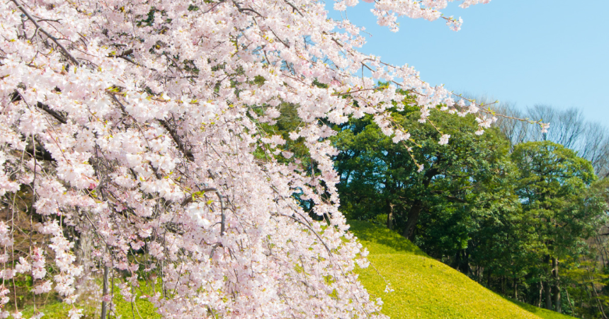 계절의 변화를 세분화한 24 절기 중 '춘분' 이해하기