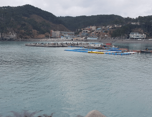 바다 낚시터 추천