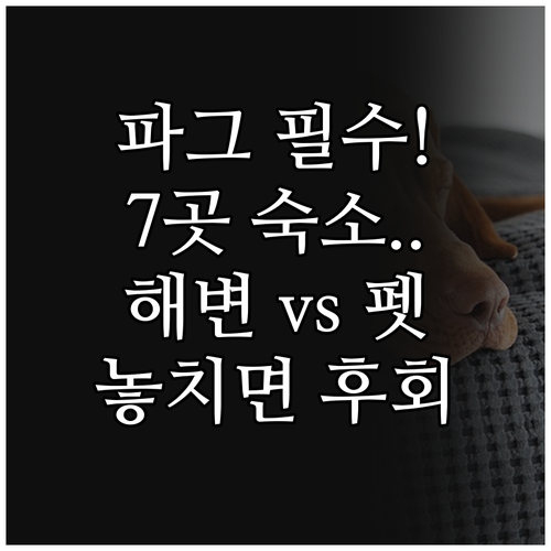 파그 여행자를 위한 숙소 7곳 선택 ..