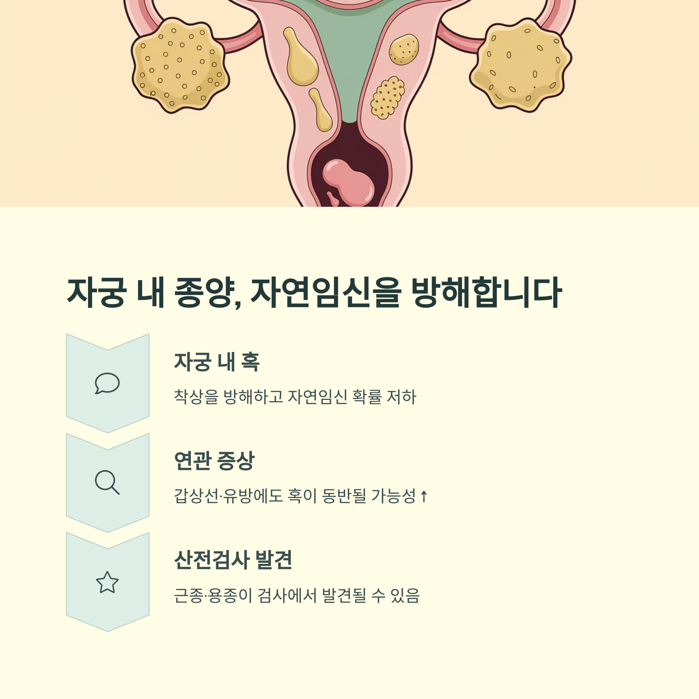 임신 준비 식습관 – 자궁 내 종양과 착상 방해
