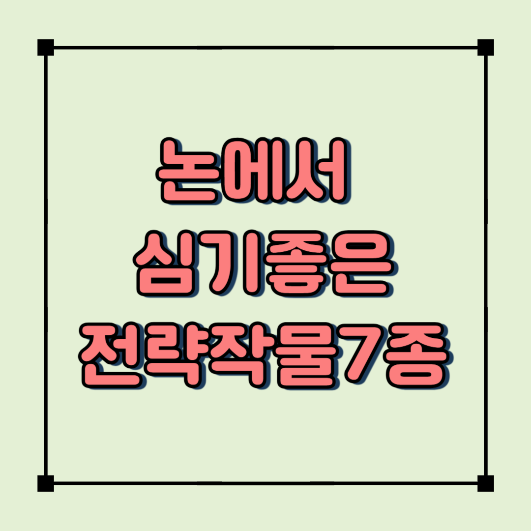 농촌진흥청이 알려주는 논 활용법! 콩&middot;옥수수 등 전략작물 재배 핵심 가이드