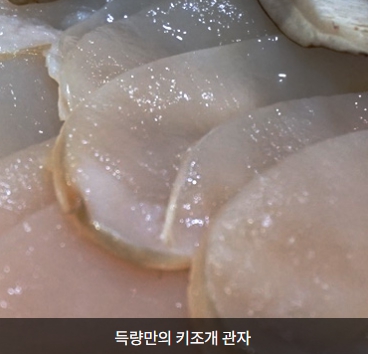 장흥 한우삼합1