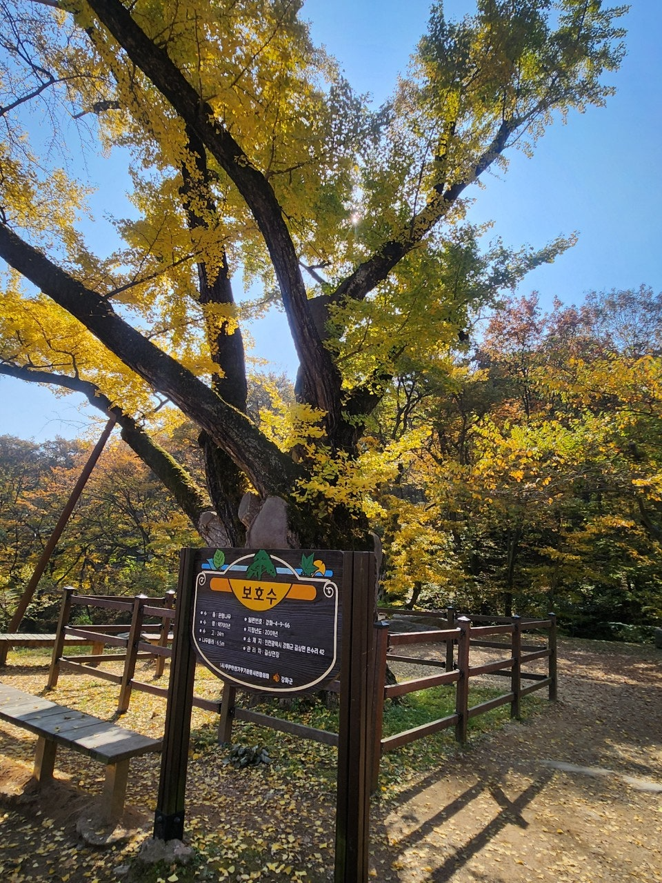 서울근교여행