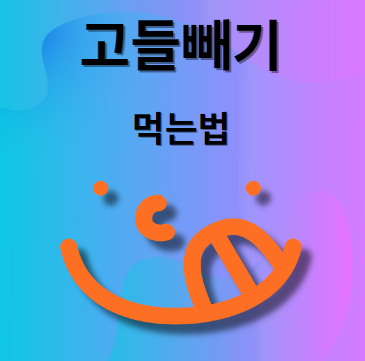 고들빼기 먹는법