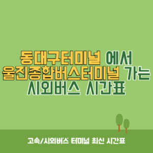 동대구터미널에서 울진종합버스터미널 가는 시외버스 시간표 최신정보