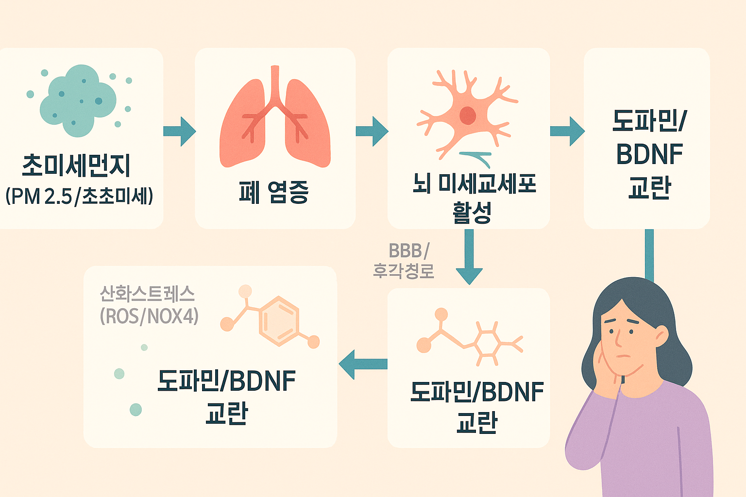 초미세먼지는 &lsquo;폐에서 시작된 염증 신호 &rarr; 전신 순환 &rarr; 뇌의 면역세포 활성&rsquo; 경로로 우울 행동과 연동될 수 있다