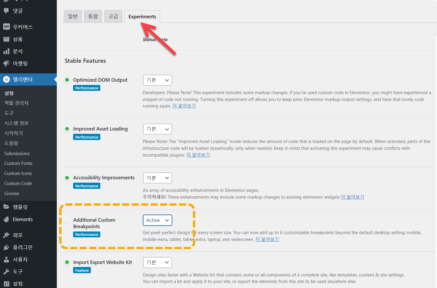 추가 커스텀 분기점 활성화
