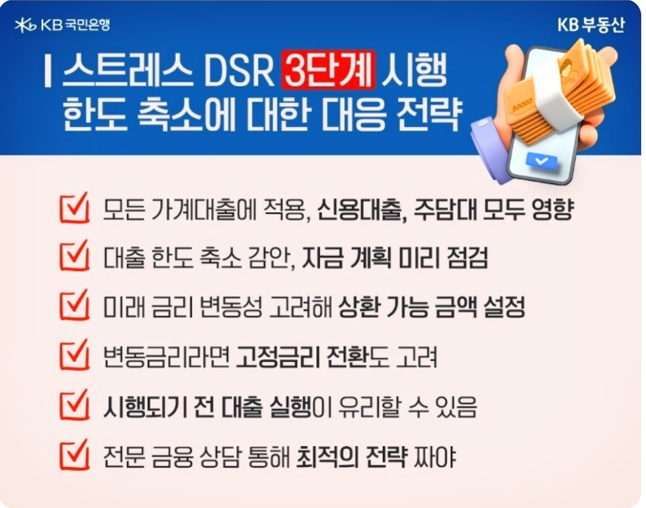 스트레스DSR