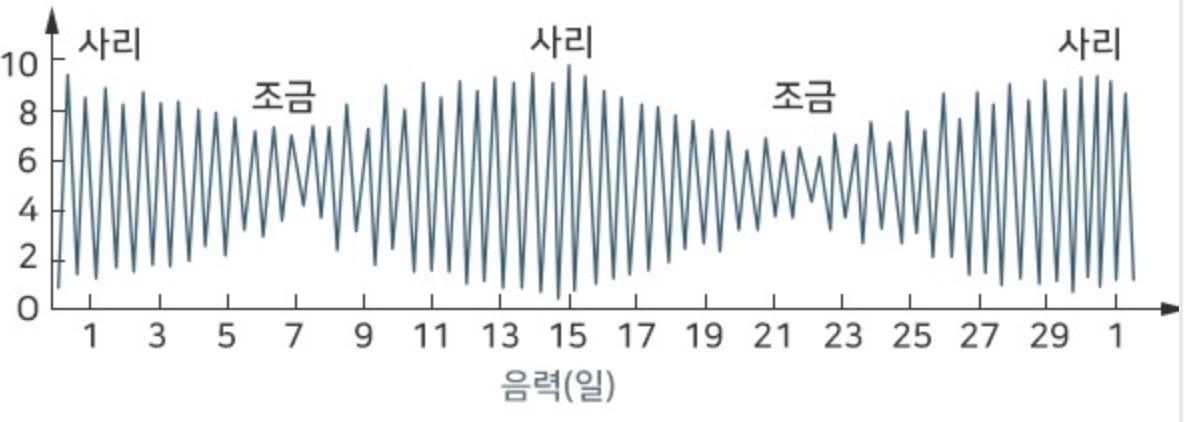 사리표