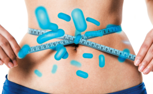 마이크로바이옴과 체중 조절 및 대사 건강