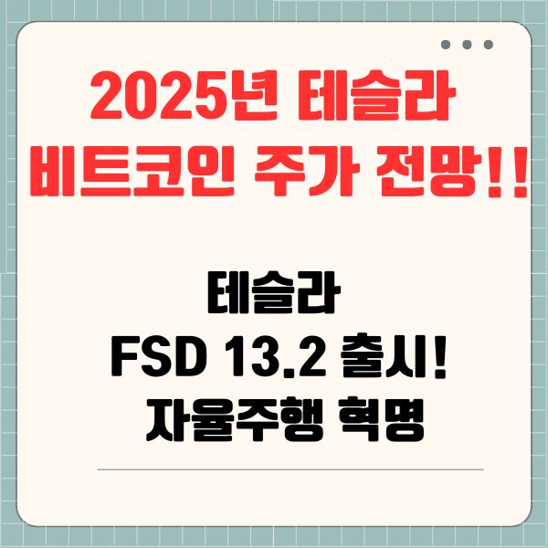 2025년 테슬라 비트코인 주가 전망!! 테슬라 FSD 13.2 출시! 자율주행 혁명