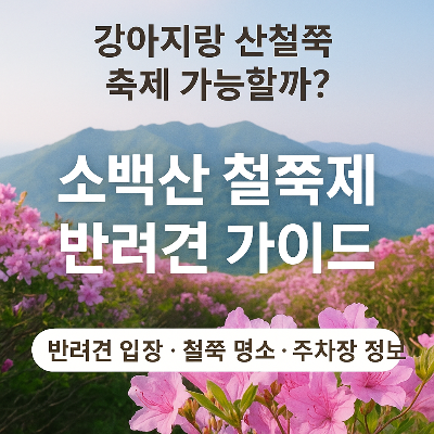 소백산 철쭉제, 강아지랑 산행 가능할까? 반려견 입장 조건부터 주차장까지 총정리!