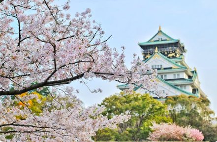 일본 자유여행 준비물