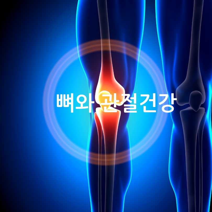 액상마그네슘효과