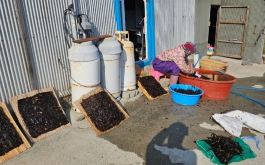 울릉도-돌김-한국기행