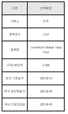 미국주식 선택배당 CLM